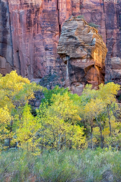 Piulpit Rock en el Parque Nacional Zion Utah