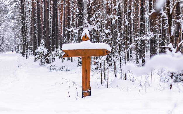 Placa de direção de madeira com neve e floresta no fundo