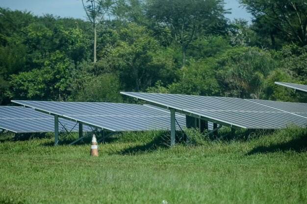 Placa de energia solar distribuída por várias casas