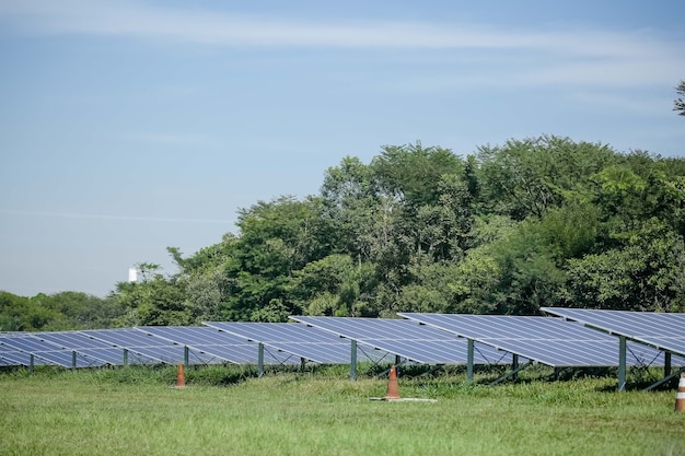 Placa de energia solar distribuída por várias casas