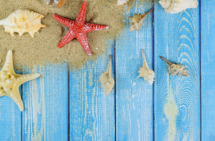Foto placa de madeira com casca e estrela do mar na areia da praia