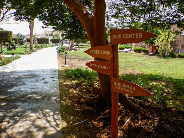 Placa de sinalização de madeira em um caminho de férias