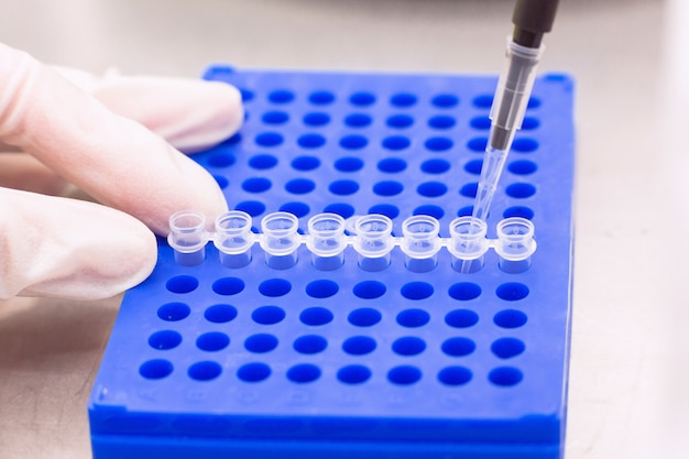 Placa para processamento de PCR com tubos eppendorf