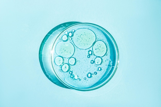Placa de Petri Copa de Petri con líquido Elementos químicos aceite cosméticos Gel moléculas de agua virus Primer plano sobre un fondo azul