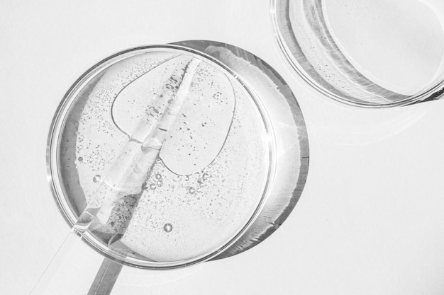 Placa de Petri Copa de Petri con líquido Elementos químicos aceite cosméticos Gel moléculas de agua virus Primer plano Sobre un fondo blanco