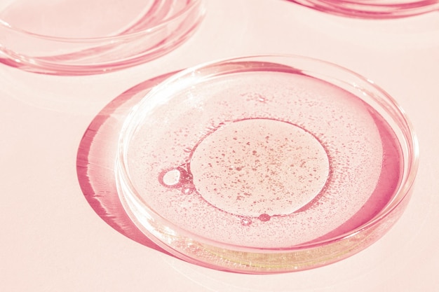 Placa de Petri Copa de Petri con líquido Elementos químicos aceite cosméticos Gel moléculas de agua virus Primer plano Sobre un fondo rosa