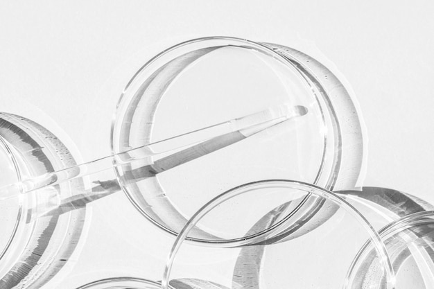 Placa de Petri Un juego de copas de Petri Un tubo de vidrio de pipeta Sobre un fondo blanco