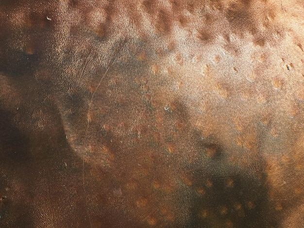 Placa texturizada em bronze metálico Superfície polida em bronze ou cobre com amassados arranhões e reentrâncias Textura metálica