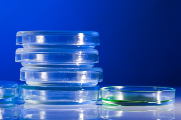 Placas de Petri en laboratorio luz azul cerrar