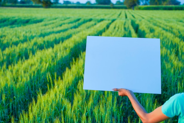 Plakatschablonenhintergrund des landwirtschaftlichen Hintergrunds