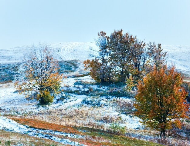 Planalto das montanhas dos Cárpatos de outubro com a primeira neve de inverno e folhagem colorida de outono