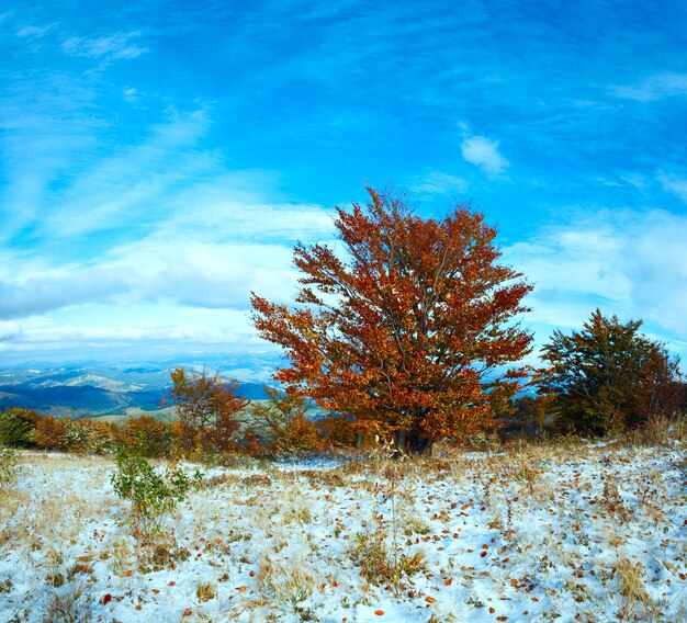 Planalto das montanhas dos Cárpatos de outubro com a primeira neve do inverno e árvores coloridas de outono