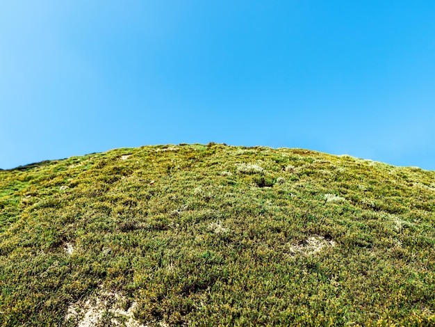 Planeta de grama verde contra o céu azul