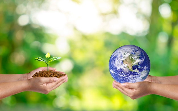 Planeta en mano humana con árbol pequeño en mano humana sobre fondo verde borroso de la naturaleza