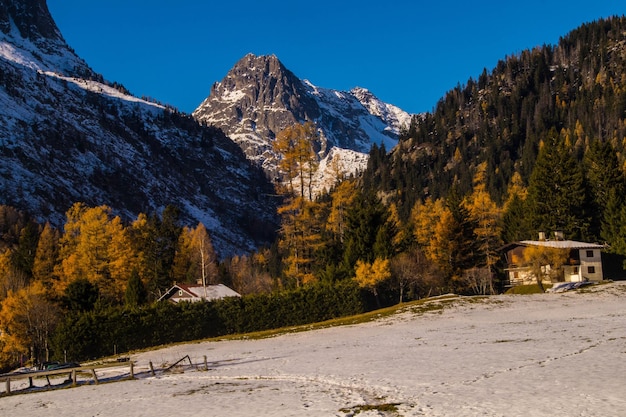 Planetchamonixalta saboyafrancia