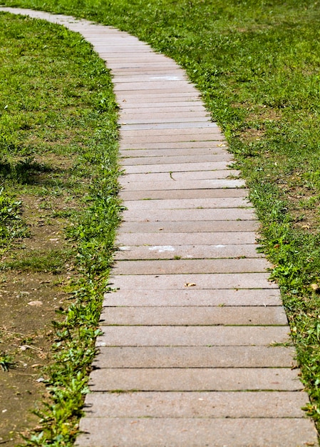 Plano aproximado em estrada de madeira