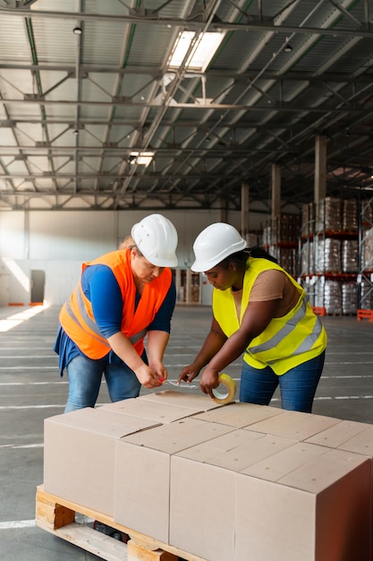 Plano completo de personas trabajando en la construcción.