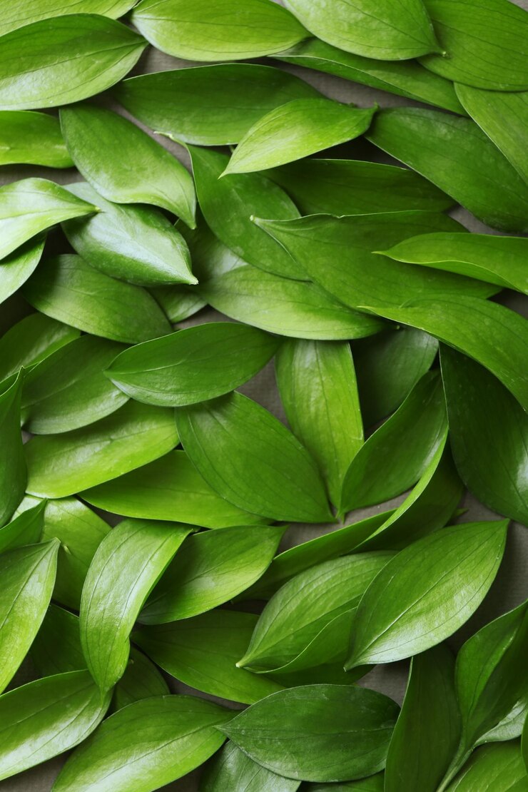 Foto plano de fundo com folhas verdes frescas fechar