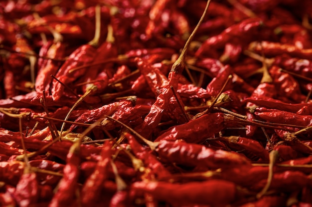 Plano de fundo com textura de pimenta vermelha seca, a pimenta vermelha karen seca é a pimenta tradicional da ásia (prik ka reang)
