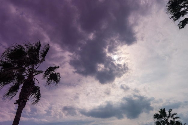 Plano de fundo de céu dramático com belas nuvens e silhueta de palmeiras