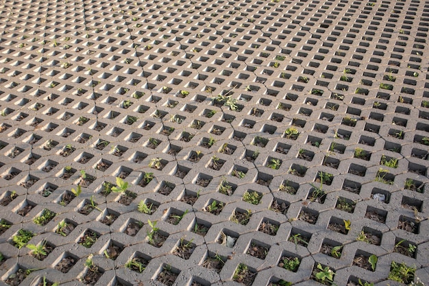 Plano de fundo de lajes de pavimentação com grama brotando por meio delas. ladrilhos de pedra na calçada. trilha. plano de fundo estampado texturizado. cobertura ecológica - grade de gramado de concreto.