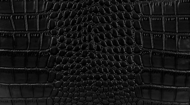 Plano de fundo de pele de cobra