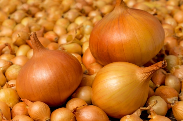 Plano de fundo do conjunto de sementes de cebolas prontas para serem plantadas,