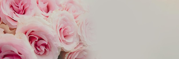Plano de fundo do modelo de rosas cor de rosa para cartão Buquê de flores para mulher no dia de São Valentim