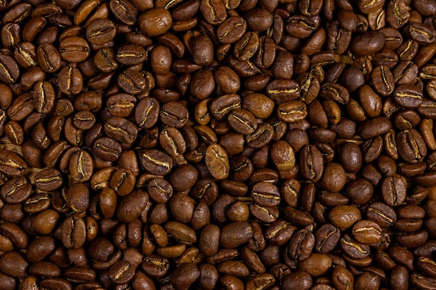 Plano de fundo dos grãos de café torrados