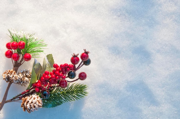 Plano de fundo, galhos de uma árvore de Natal com bagas vermelhas e cones na neve