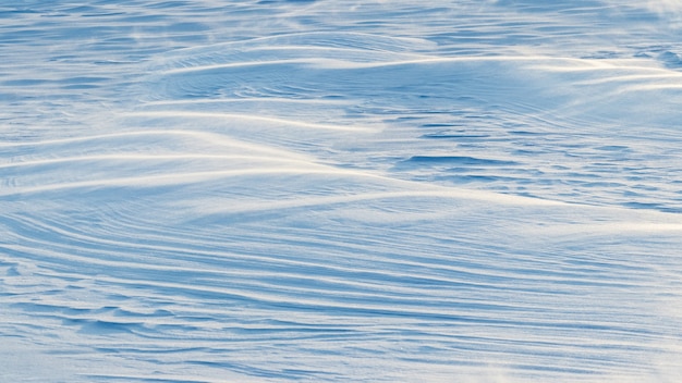 Plano de fundo nevado, superfície ondulada coberta de neve da terra após uma nevasca pela manhã sob o sol