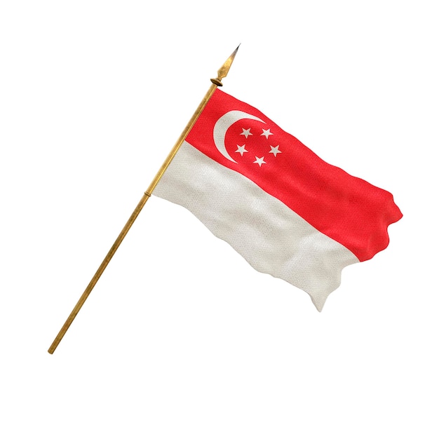 Plano de fundo para designers National Day National flag of Singapore