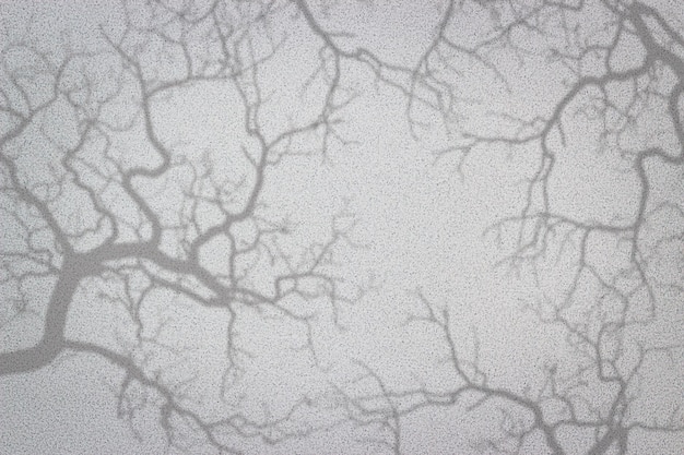plano de fundo texturizado cinza com sombras de galhos de árvores