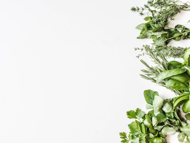 Foto plano de várias ervas verdes frescas de cozinha