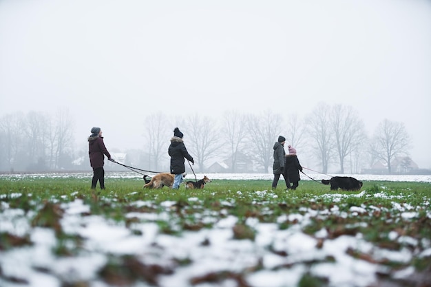 Plano general de personas paseando perros en la naturaleza