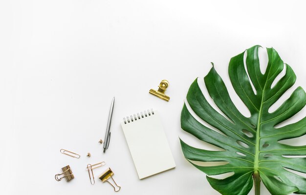 plano de mesa de escritorio de negocios con hoja de monstera