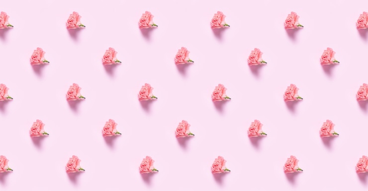 Foto plano minimalista com flores de cravo para o dia das mães, conceito de design de plano de fundo do dia dos namorados, plano de fundo padrão