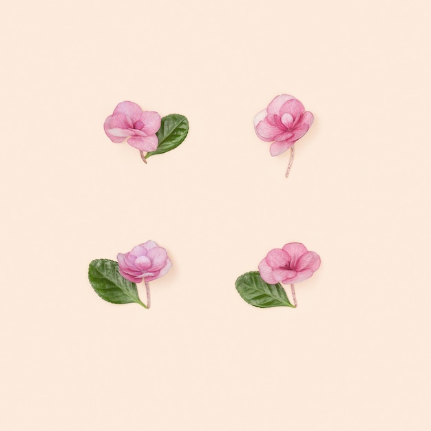 Plano mínimo creativo con pequeñas flores rosadas en flor de tarjeta de felicitación de papel rosa milenario