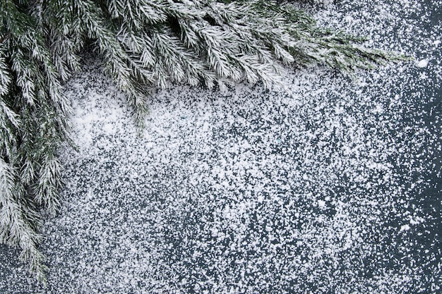 Plano de Navidad yacía con ramitas de abeto en la nieve.