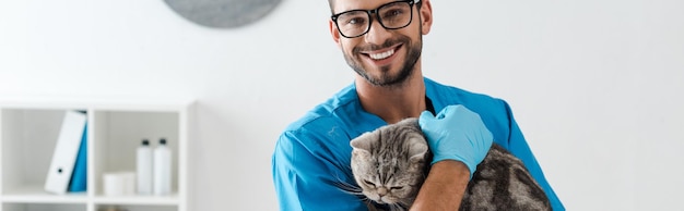 Plano panorámico de un apuesto veterinario sonriendo a la cámara mientras sostiene un gato recto escocés atigrado