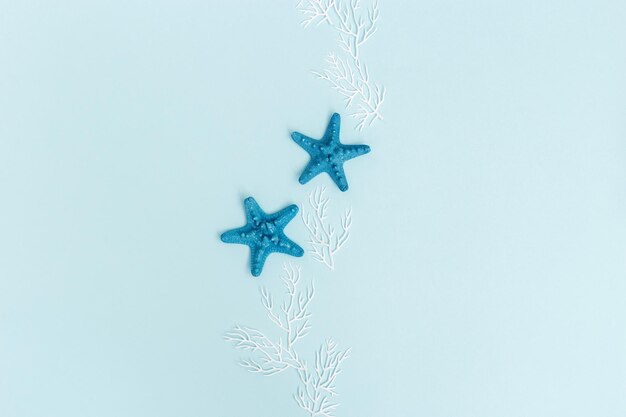 Foto plano de verano con estrellas de mar y coral en fondo azul concepto de verano o playa