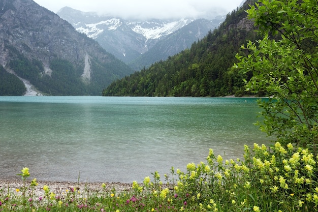 Plansee paisagem de verão com neve na encosta da montanha e flores na frente. Dia nublado. (Áustria).