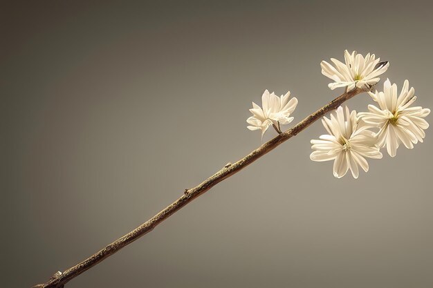 Plant Dry Floral Explorando a beleza da natureza com Generative AIxA