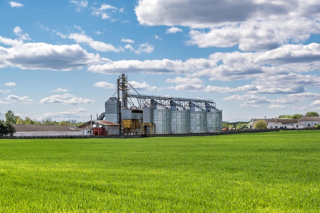 Planta de agroprocesamiento y fabricación para procesamiento y silos de plata para secado limpieza y almacenamiento de productos agrícolas harina cereales y granos Ascensor granero