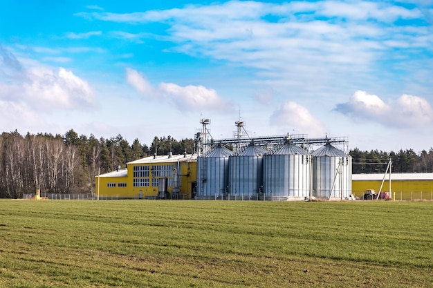 Planta de agroprocesamiento y fabricación para procesamiento y silos de plata para secado limpieza y almacenamiento de productos agrícolas harina cereales y granos Ascensor granero