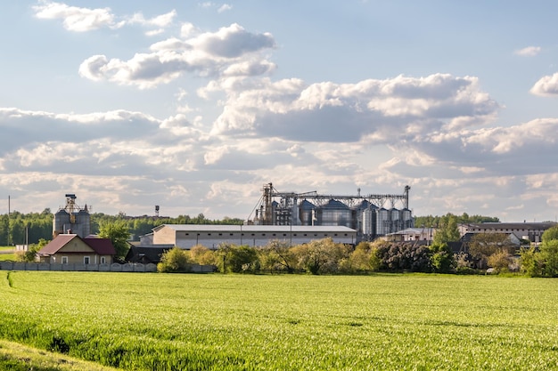 Planta de agroprocesamiento y fabricación para procesamiento y silos de plata para secado limpieza y almacenamiento de productos agrícolas harina cereales y granos Ascensor granero