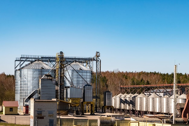 Planta de agroprocesamiento para procesamiento y silos de plata para secado limpieza y almacenamiento de productos agrícolas harina cereales y grano