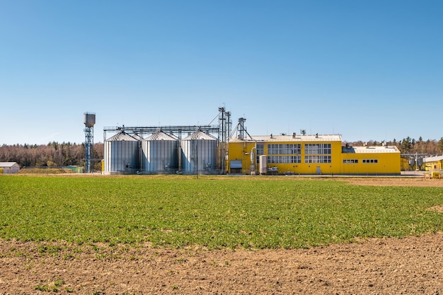 Planta de agroprocesamiento para procesamiento y silos para secado limpieza y almacenamiento de productos agrícolas harina cereales y grano granja avícola