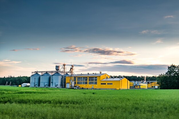 Planta de agroprocesamiento para procesamiento y silos para secado limpieza y almacenamiento de productos agrícolas harina cereales y grano