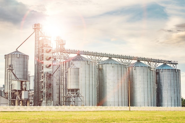 Planta de agroprocesamiento para procesamiento y silos para secado limpieza y almacenamiento de productos agrícolas harina cereales y grano